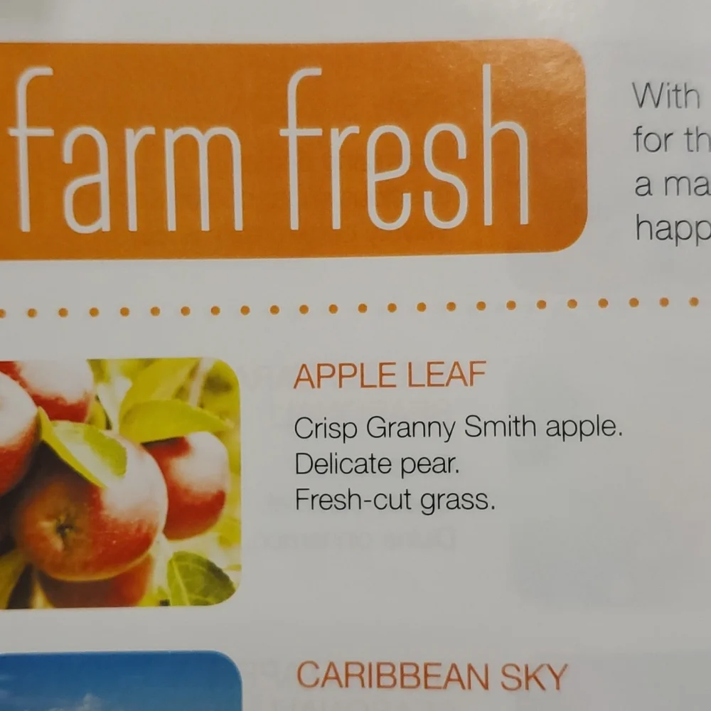 APPLE LEAF Gold Canyon Med/16 oz two‎ wick candle